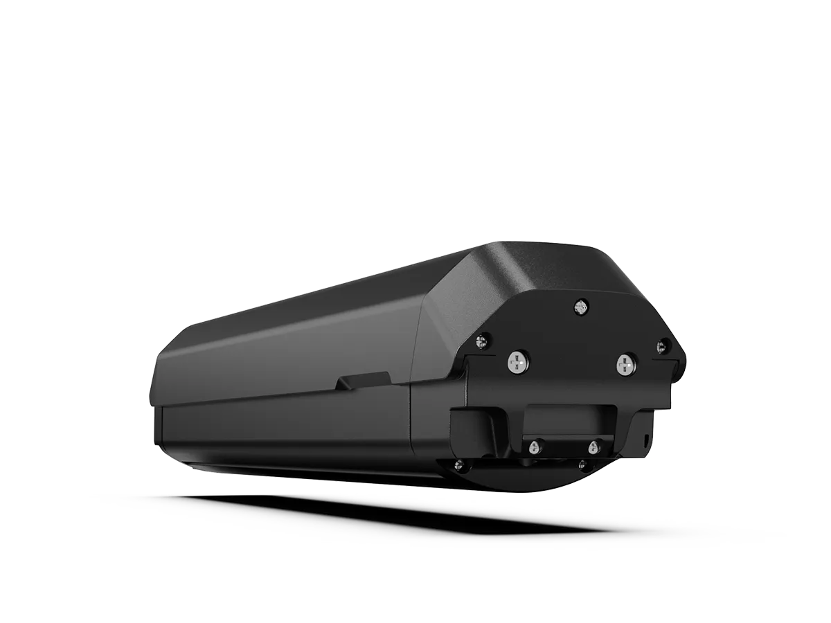 Batterie 48 V 14 A pour Dukawey FUGL 3.0