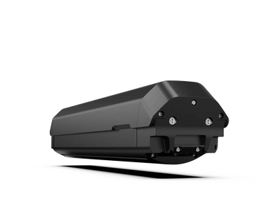 Batterie 48 V 14 A pour Dukawey FUGL 3.0